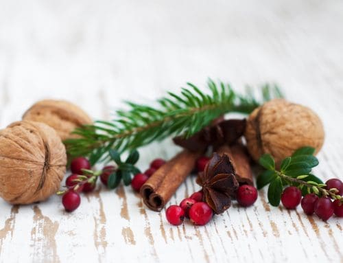 Festive Season Opening Hours