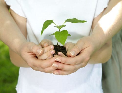 Boosting Your Chances of IVF Success