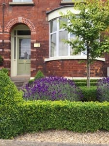 212 Lower Kimmage Road 2015 a 212 Lower Kimmage Road, acupuncture clinic dublin